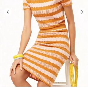 NWT, Forever 21 Chevron Knit Skirt